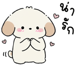 ลายที่ 13