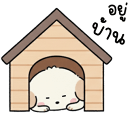 ลายที่ 19