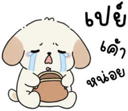 ลายที่ 37