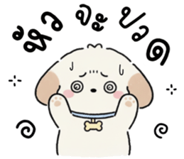 ลายที่ 43