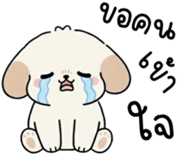 ลายที่ 45