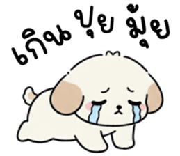 ลายที่ 67