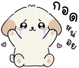 ลายที่ 71