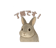 792600088