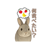 792600089