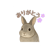 792600094