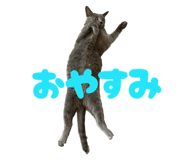 792613970