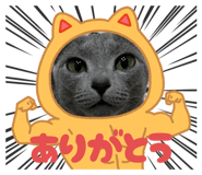 792613976