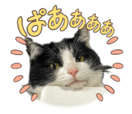 792616980