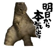 792616983