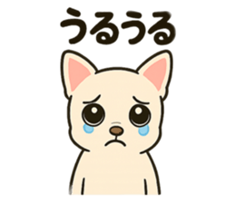 792617278