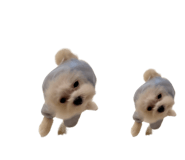 792620350