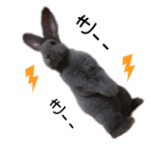 792625387
