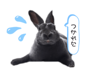 792625399