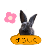 792625403