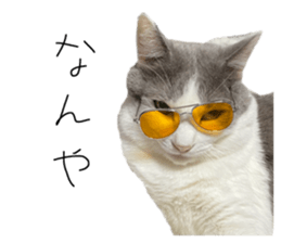 792628381