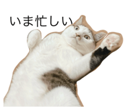 792635689