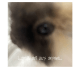 792650767