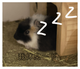 792650775