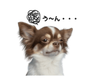 792652820