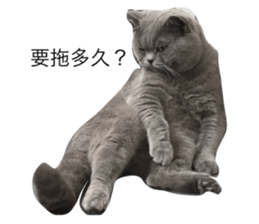 792656770