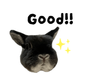 792657581