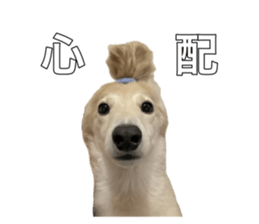 792662650