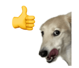 792662665