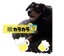 792663115