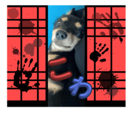 792663124