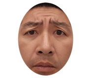 792673911