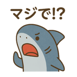 792675585