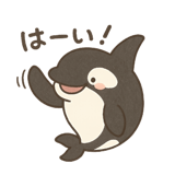 792675587