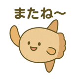 792675589
