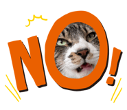 792676870