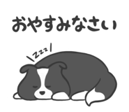792682655