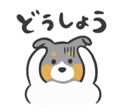 792682674