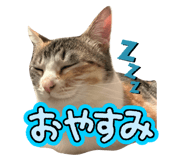792693677