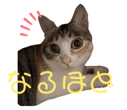 792693680