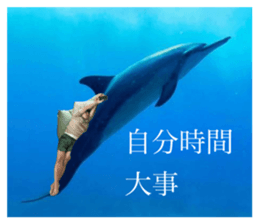 792713532
