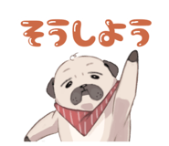 792735216