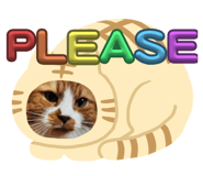 792746052