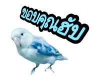 792749339