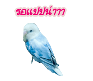 792749341
