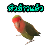 792749342
