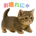 792753384