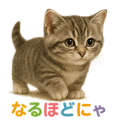 792753394