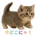 792753402