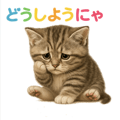 792753407