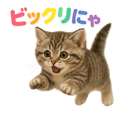 792753408
